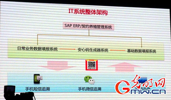 可追溯源的鸡肉鸡蛋来了